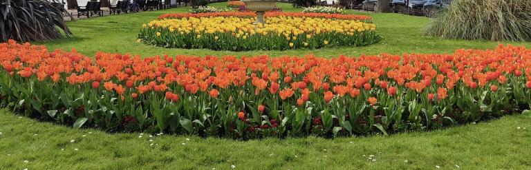 Bedford Embankment floral diplay